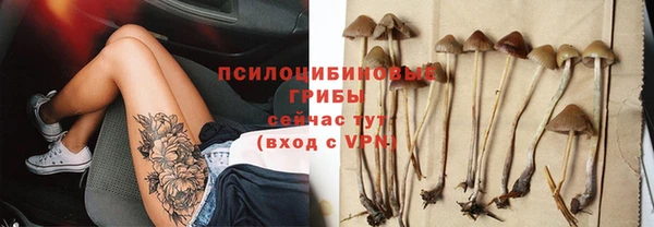 ешки Богородицк