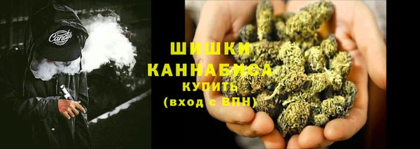индика Богородск