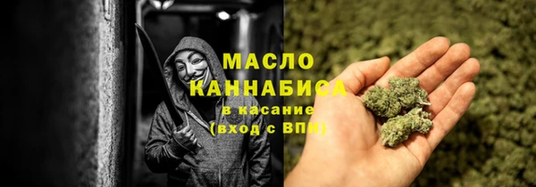индика Богородск