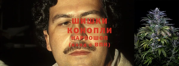 индика Богородск