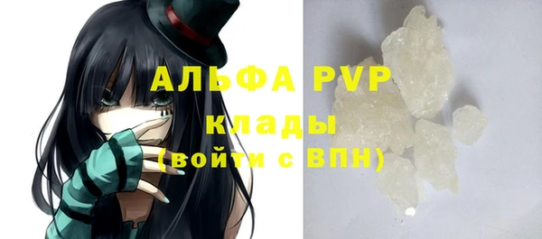 индика Богородск