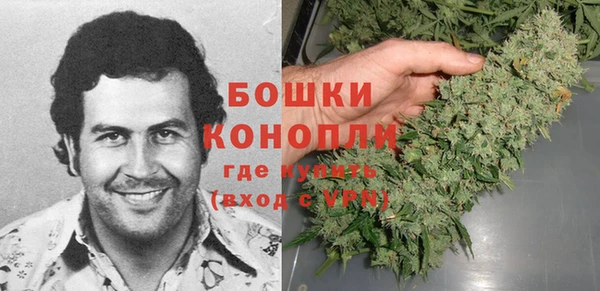 индика Богородск