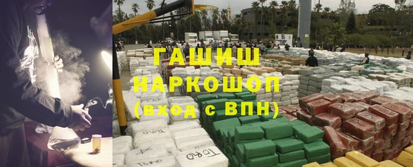 индика Богородск