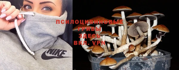ешки Богородицк