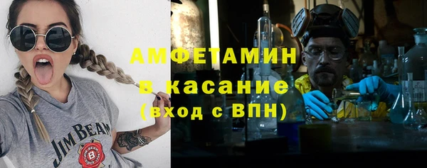 индика Богородск