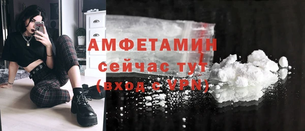 индика Богородск